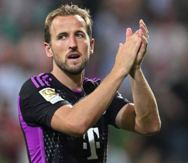 他们需要对 他们需要对